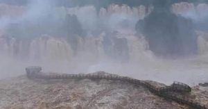 Turista cai nas Cataratas do Iguaçu e desaparece