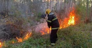 Jovem morre em incêndio enquanto limpava matagal