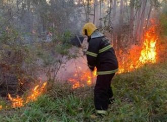 Jovem morre em incêndio enquanto limpava matagal
