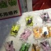 China vende animais marinhos plastificados vivos