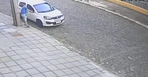 VÍDEO: Gata machucada é jogada de carro e detalhe curioso faz dona de pet shop descobrir identidade de suspeito