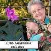 NOTÍCIA TRISTE: Morre a apresentadora e cozinheira Palmirinha