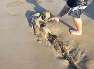 Corpo de “Sereia” é encontrado em praia e intriga australianos