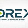 Conheça o DREX, a primeira moeda digital do Brasil