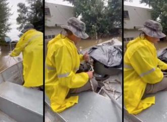 Vídeo: Em meio à enchente, Brigadiano salva animal desesperado com uma laçada perfeita