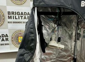 Homem é preso com estufa artesanal para cultivo de maconha em Farroupilha